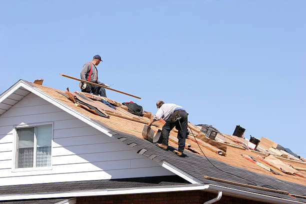 Professional Roofing services in Elmo, TX